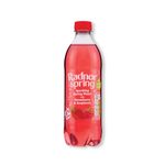 Radnor Sparkling Strawberry/Raspberry 500ml Pack of 24 P-RS5SPSR/24