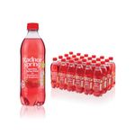 Radnor Sparkling Strawberry/Raspberry 500ml Pack of 24 P-RS5SPSR/24
