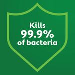 Dettol Concentrated Disinfectant Eucalyptus + Mint 3319738