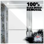 Cillit Bang Black Mould Remover Spray 750ml (Pack of 6) 3077889