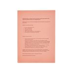Coloured Page Overlays Assorted (Pack of 16) SS48624