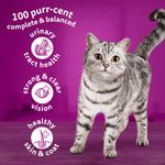 Whiskas 1+ Cat Complete Dry with Chicken 800g (Pack of 5) 481359