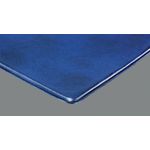 Rexel Nyrex Slimview Display Book 50 Pocket A4 Black 10048BK