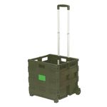 Folding Container Trolley Blue /Green 356684
