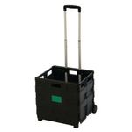 Folding Shopping Cart Black/Grey 356686