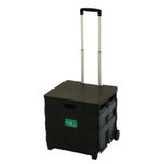 Folding Shopping Cart Black/Grey 356686