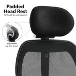 Sandro mesh back executive chair with black air mesh seat and head rest
