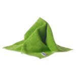 Spontex Specialist Microfibre Cloths Green (Pack of 10) 19700240