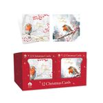 Boxed Robin/Holly Christmas Cards x12 Pack of 24 X9078B