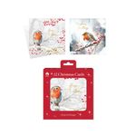 Boxed Robin/Holly Christmas Cards x12 Pack of 24 X9078B
