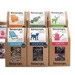 Teapigs Mixed Variety Packs of 50 Teabags (Pack of 6) FOTEA009