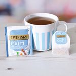 Twinings SuperBlends Calm HT (20 Pack) F15169