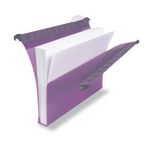 Rexel Multifile Extra Secura Suspension File A4 30mm Assorted (10 Pack) 2102573