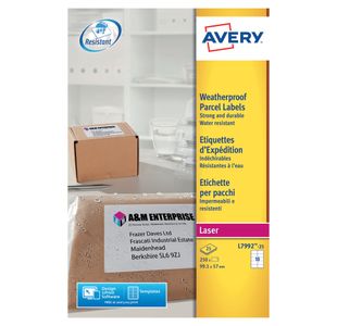 Avery Weatherproof Shipping Label 10 Per Sheet (Pack of 250) L7992-25