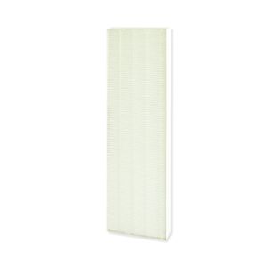 Fellowes DX5 Small True HEPA Filter 9287001