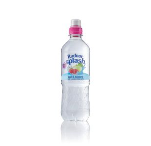 Radnor Hills Splash Still Water Apple Raspberry 500ml (Pack of 24) 0201046
