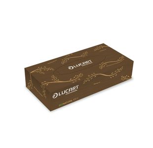 Lucart EcoNatural Facial Tissues 100 Sheets (Pack of 40) 841073