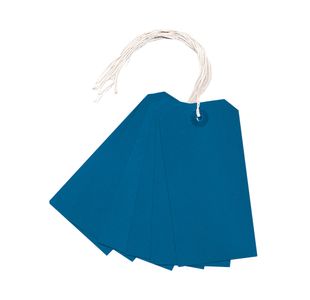 Strung Tag 120x60mm Blue (1000 Pack) KF01625