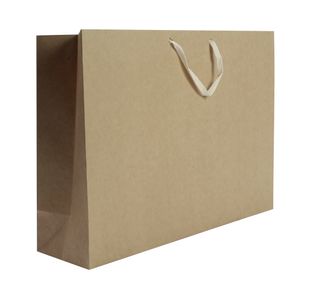Q-Connect Storage Bag Foolscap 100x255x350mm Pack of 50 KF25001