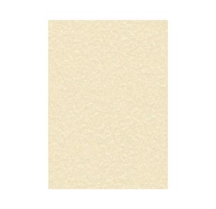 Decadry Parchment A4 Letterhead Paper 95gsm Champagne (Pack of 100) PCL1601