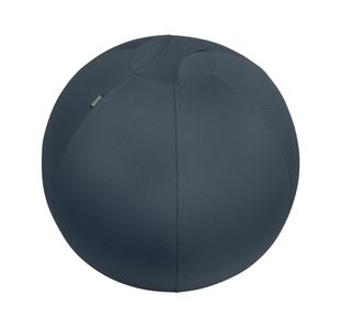 Leitz Ergo Cosy Active Sitting Ball Velvet Grey 52790089