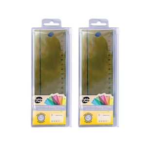 Pukka Pad Irlen Reading Overlay Ruler Pack of 5 Buy One Get One Free