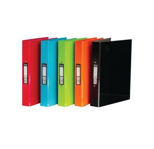 Pukka Brights Ringbinder A4 Assorted (10 Pack) BR-9449