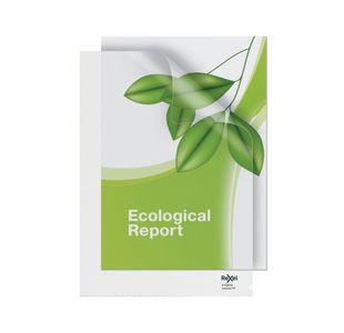Rexel EcoDesk A4 Folders Clear (Pack of 25) 2102243