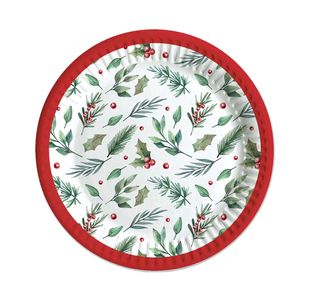 Traditional Christmas Party Paper Plates x6 Pack of 12 X9979B