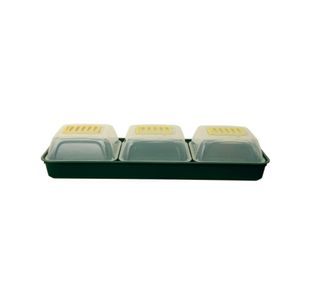Whitefurze Windowsill Propagator Set Green/Clear G2666SET