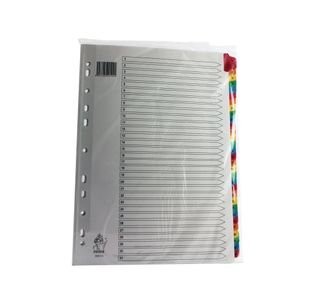 Assorted A4 1-31 Mylar Index WX01522