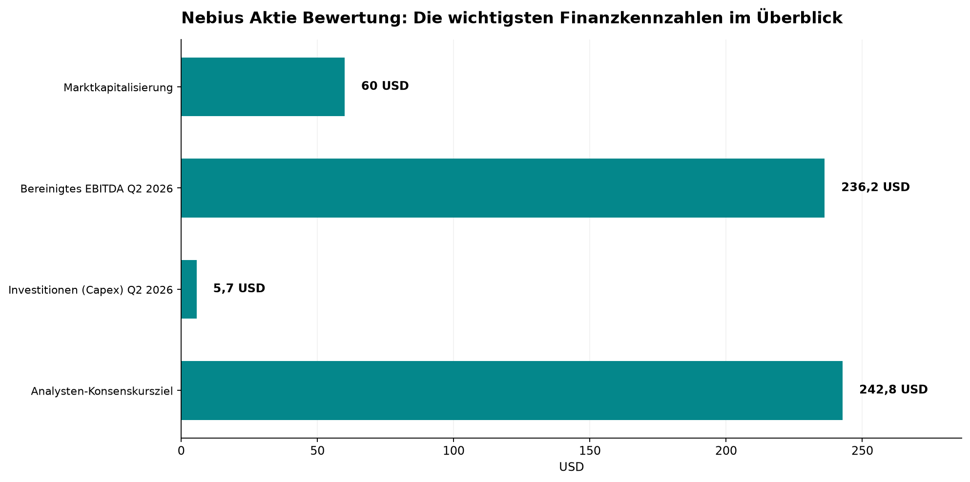 Nebius Aktie Bewertung: Die wichtigsten Finanzkennzahlen im Überblick